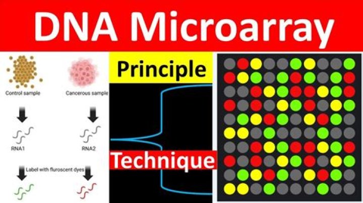 What are the advantages of DNA microarray?