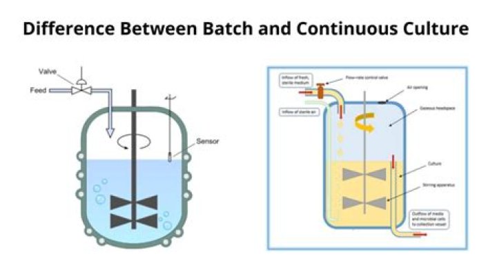 What is the difference between batch and continuous reactor?