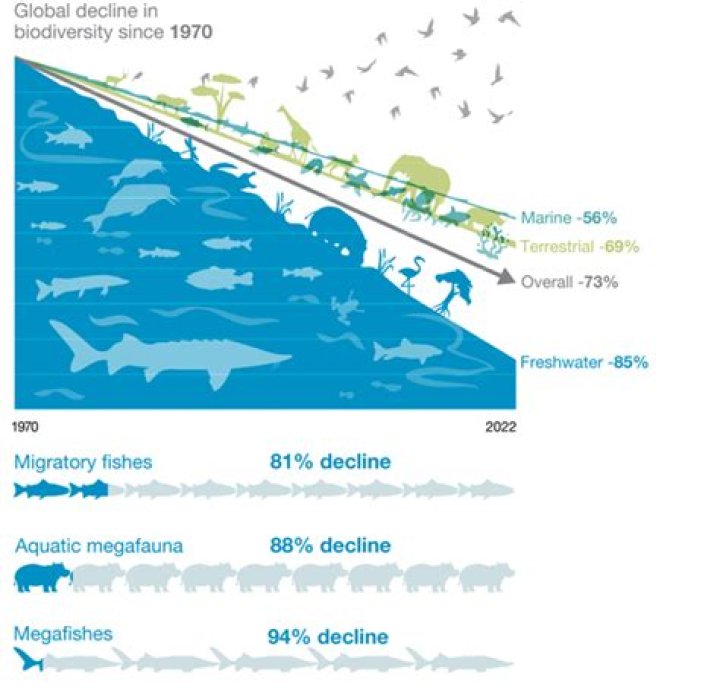 Why are fisheries declining?